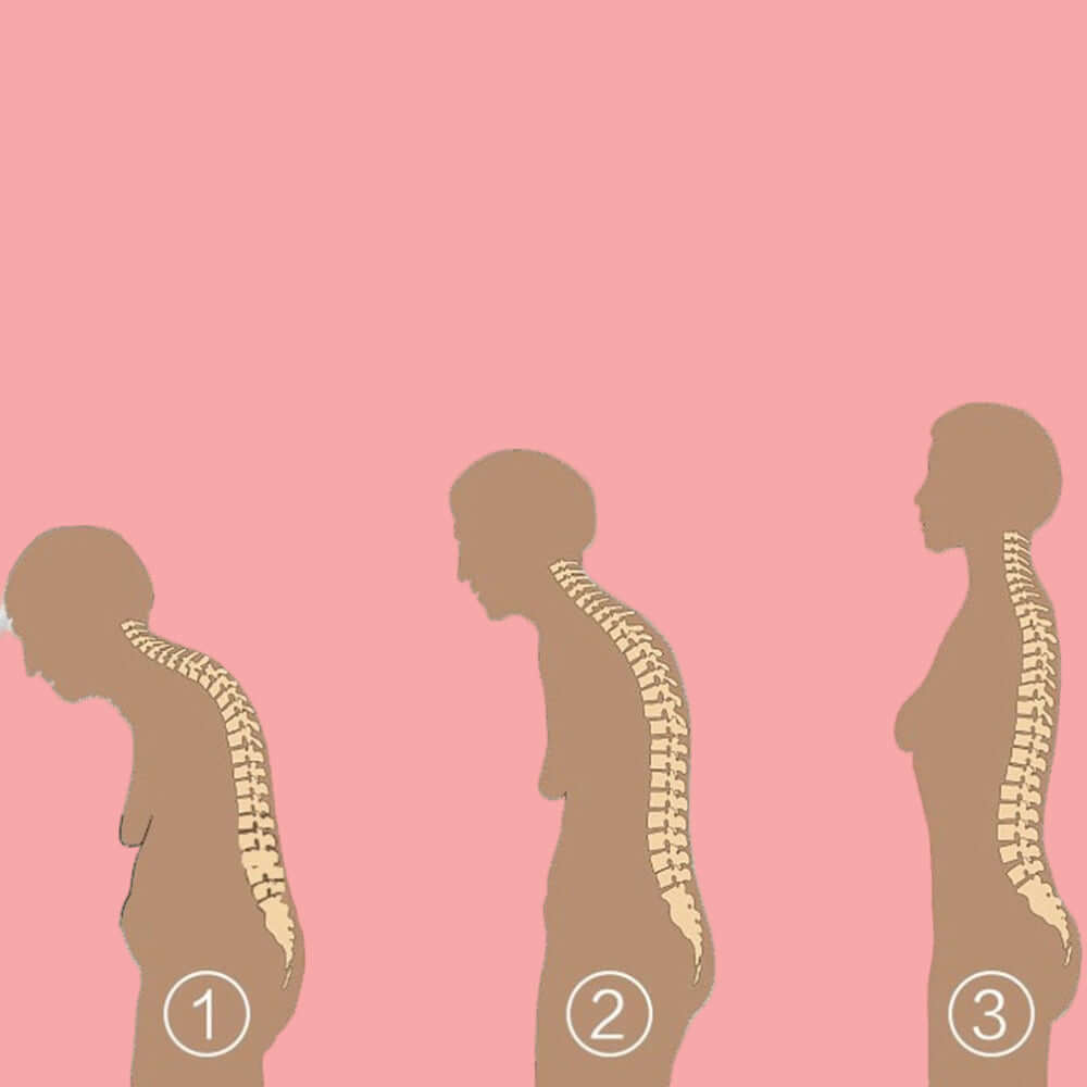 Correcteur de posture pour colonne vertébrale
